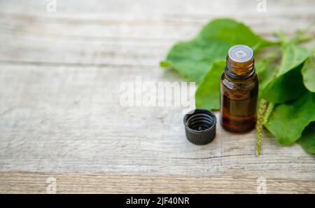 Extrait de plantain dans une petite bouteille. Mise au point sélective. Banque D'Images