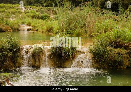 Semuc Champey en paysage, Lanquin, Guatemala, Amérique Centrale Banque D'Images