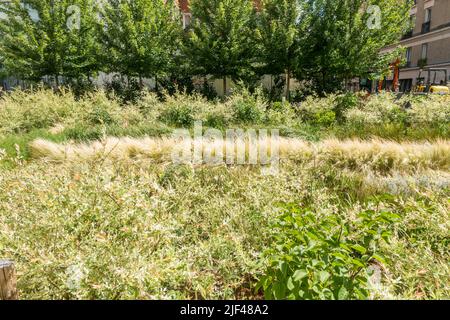 Jardin Truillot, parc de la ville dans le 11th arrondissement de Paris, Parc Saint-Ambroise, jardin Truillot, Paris, France. Banque D'Images