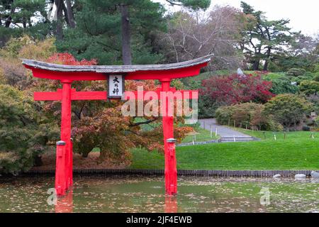 Automne dans un jardin japonais Banque D'Images