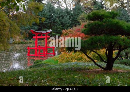 Automne dans un jardin japonais Banque D'Images