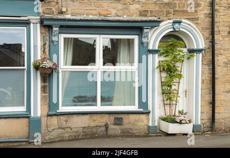 Un jardinière de fleurs dans un vieux lavabo et une wisteria de Belfast qui cultisse un treillis devant une porte de maison Banque D'Images