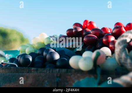 Différents types de raisins en un seul endroit Banque D'Images