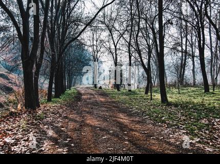 Chemin tranquille avec arbres dans la Manresa Banque D'Images