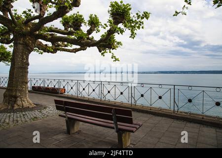 Banc et arbre platanus avec vue magnifique sur le lac de Constance, Meersburg, Allemagne Banque D'Images