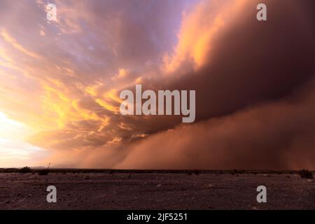 Une tempête de poussière Haboob traverse le désert au coucher du soleil près de Dateland, Arizona, États-Unis Banque D'Images