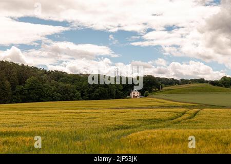 Magnifique paysage d'été de la région de la Ruhr en Allemagne. Petite maison sur toile de fond d'un champ de blé et d'une forêt en face de la colline Banque D'Images