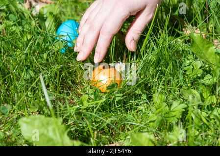 La main d'une femme atteint l'un des oeufs de Pâques cachés dans l'herbe. Mise au point sélective sur le premier œuf sous la lumière du soleil. Banque D'Images