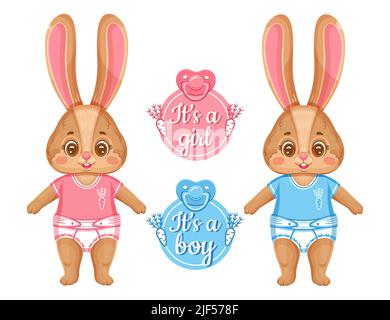 Mignon lapin nouveau-né, douche de bébé. Annonce de naissance de l'enfant. C'est garçon, fille. Bébé lapin jumeaux, fille et fils. Anniversaire nouveau-né lièvre animal vecteur Illustration de Vecteur