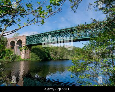 Shin chemin de fer viaduc au-dessus de Kyle de Sutherland, Highland Écosse Banque D'Images