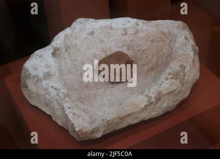 Ustensile en pierre en forme de coquille. Peut-être utilisé comme louche. Cercle de pierres Xaghra. Néolithique. Xaghra, île de Gozo, Malte. Musée d'archéologie de Gozo. Cittadela de Victoria à Gozo. Malte. Banque D'Images