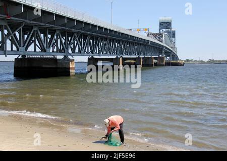 Marine ParkwayGil Hodges Memorial Bridge, pêcheur avec un filet sur le côté Brooklyn de Rockaway Inlet, New York, NY, USA Banque D'Images