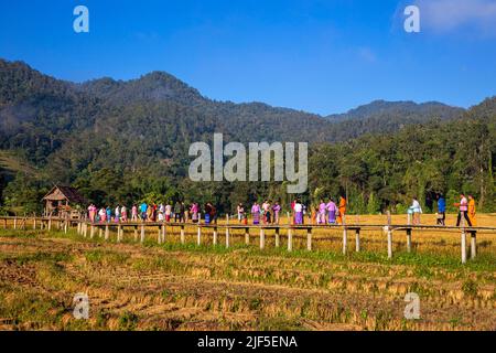 2021, 21 novembre, Pai, Mae Hong son, Thaïlande - magnifique paysage pittoresque du célèbre pont de bambou Boon Ko Ku SO (Kho-Ku-so). Tourisme à pied v Banque D'Images