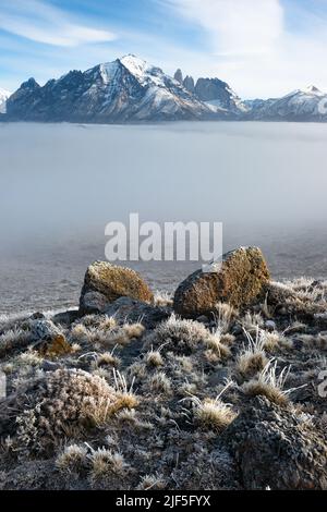 Parc national de Torres del Paine paysage pendant une journée brumeuse Banque D'Images