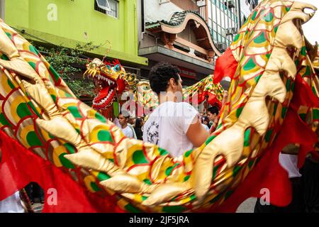 Sao Paulo, Brésil, 26 janvier 2008, les gens prennent part et regardent la danse du lion dans la célébration du nouvel an chinois dans le quartier de Liberdade, à Sao Banque D'Images