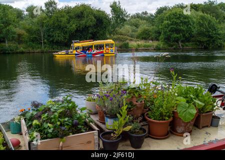 Windsor, Berkshire, Royaume-Uni. 29th juin 2022. Le véhicule amphibie Windsor Duck Tours passe devant un bateau étroit avec des herbes et des légumes qui poussent sur son toit. Crédit : Maureen McLean/Alay Banque D'Images