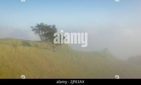 Sommet du Mont Eden dans un épais brouillard matinal, Auckland. Banque D'Images