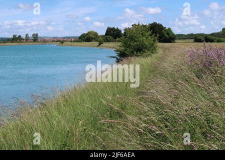 Les rives de l'Arun, près de Ford West Sussex. Affiche des fleurs sauvages à côté du sentier et de nouvelles habitations à Littlehampton au loin Banque D'Images