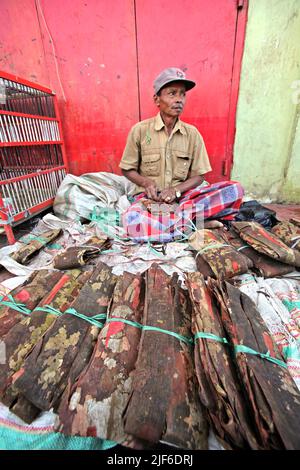 Un homme qui vend des écorces de cannelle crues au marché de Bolu, un marché traditionnel à Rantepao, Toraja Nord, Sulawesi Sud, Indonésie. Banque D'Images