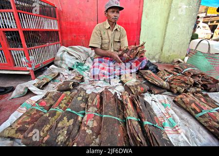 Un homme qui vend des écorces de cannelle crues au marché de Bolu, un marché traditionnel à Rantepao, Toraja Nord, Sulawesi Sud, Indonésie. Banque D'Images