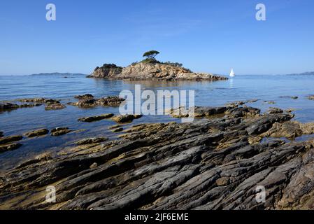 Île ou Ilots de l'Estagnol au large de la Pointe de l'Estagnol, Rock Strata sur la côte et Single Yacht Bormes-les-Mimosas Var Provence Côte-d'Azur France Banque D'Images