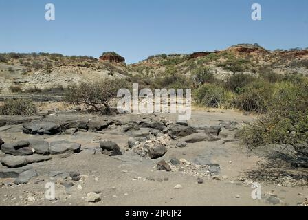 Au fond de la gorge d'Oldupai, Tanzanie Banque D'Images