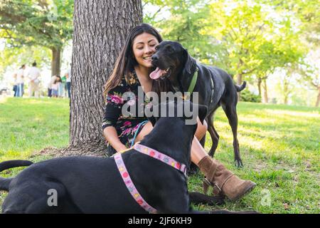 Une femme excitée assise sur une pelouse près du tronc d'arbre avec des chiens noirs Labrador Retriever lors d'une journée ensoleillée d'été dans le parc Banque D'Images