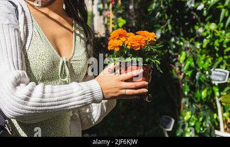 Vue latérale de la petite femelle non reconnaissable en choisissant des fleurs en pot colorées tout en se tenant dans le marché floral léger avec abondance de plantes Banque D'Images