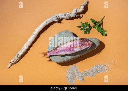 Vue de dessus des poissons rouges mullus barbatus placés sur la roche près des bâtons secs et du sable sur fond orange Banque D'Images