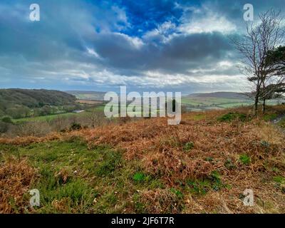 Core Hill Woods, Sidmouth, Devon Banque D'Images
