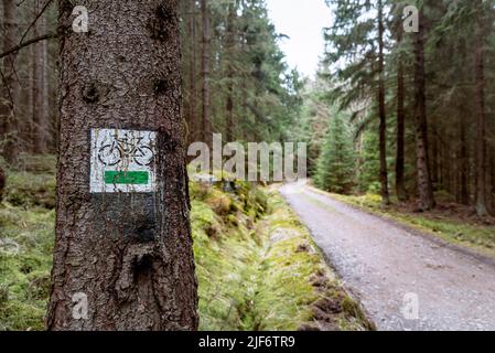 Panneau de vélo peint sur un arbre dans la forêt le long de la piste de VTT. Cyclisme dans les montagnes et concept de sports de plein air Banque D'Images