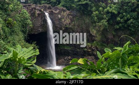 Une vue naturelle encadrée de feuilles vers Rainbow Falls à Hawaï Banque D'Images