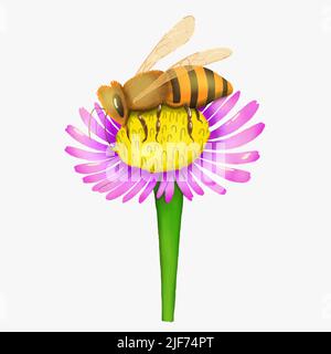 Une abeille pollinise une fleur. Illustration vectorielle de stock isolée sur fond blanc. Illustration de Vecteur