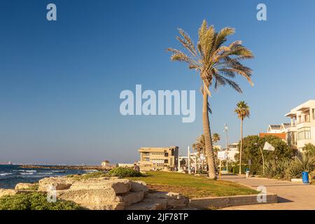 Haifa, Israël - 20 juin 2022, plage de Bat Galim au coucher du soleil. Palmiers dans le vent. Banque D'Images