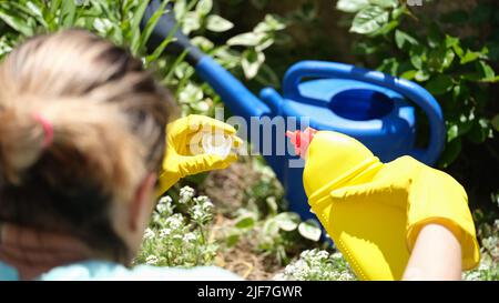 Gros plan des mains de femme en gants versant de l'engrais minéral liquide dans un arrosoir Banque D'Images