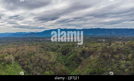 Forêts tropicales à Aceh, Indonésie. Banque D'Images