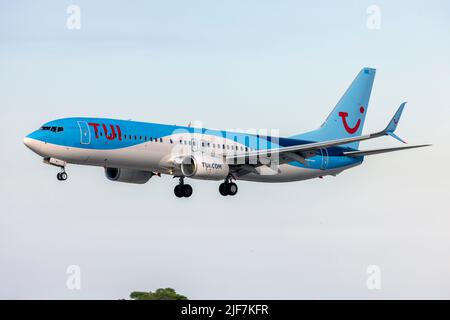 Sunwing Airlines (TUI) Boeing 737-8K5 (REG: G-TAWV) sur la piste finale 31. Titres Sunwing encore visibles sous le logo TUI. Banque D'Images
