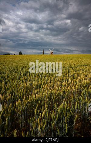 Thaxted, Royaume-Uni. 30th juin 2022. Thaxted Essex England UK Wheat Rippens sous un ciel menaçant de tempête 30 juin 2022 blé attendant une certaine pluie dans le nord-ouest de l'Essex avec Thaxted Church et John Webbs 19th Century Windmill à l'horizon. Crédit : BRIAN HARRIS/Alay Live News Banque D'Images