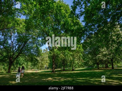 St James's Park, London, England, UK Banque D'Images