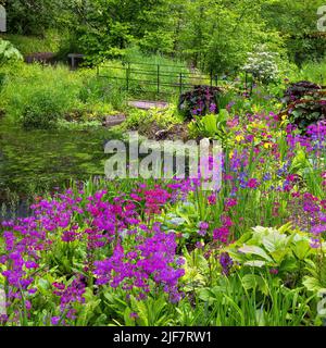 Le bassin de Jubilee Wood au printemps à Aberglasney Gardens Banque D'Images