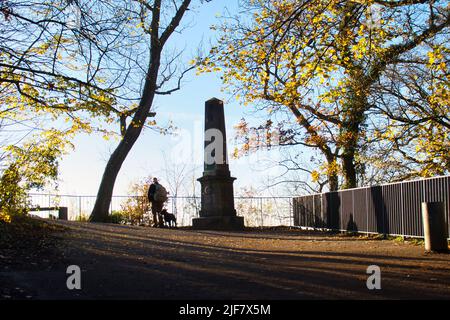 Konigswinter, Allemagne - 28 novembre,2020: L'homme et le chien se tiennent à côté du monument entouré de feuilles jaune vif sur les ruines de Drachenfels le jour de l'automne. Banque D'Images