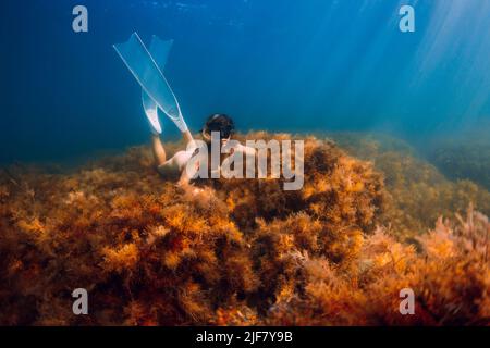 Fillette de frediver avec des nageoires blanches posant sous l'eau sur le fond avec des algues. Plongée libre en mer bleue Banque D'Images