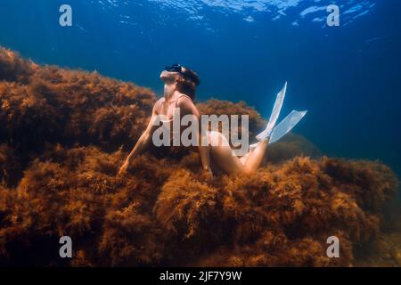 Fille plongeur libre avec des nageoires blanches posant sous l'eau au fond avec des algues. Plongée libre dans l'océan bleu Banque D'Images