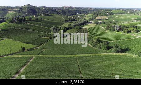 Panorama des vignobles sur les collines de Monferrato, patrimoine mondial Banque D'Images