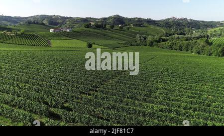 Panorama des vignobles sur les collines de Monferrato, patrimoine mondial Banque D'Images