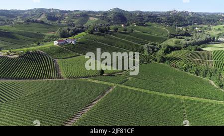 Panorama des vignobles sur les collines de Monferrato, patrimoine mondial Banque D'Images