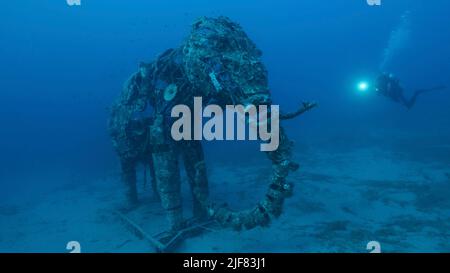 Sculpture d'un éléphant sur le fond marin. Site de plongée au phare, Mer Rouge, Dahab, Égypte Banque D'Images