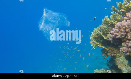 Pollution plastique de l'océan, un sac en plastique de wtite jeté sur le récif tropical de corail, sur le fond bleu de l'eau naine l'école de poissons tropicaux. Non Banque D'Images