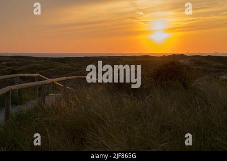 Vue sur un sentier clôturé dans les dunes au coucher du soleil Banque D'Images