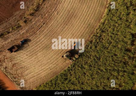 moissonneuse et remorque dans un champ de canne à sucre dans l'après-midi ensoleillé - vue de dessus - vue de drone Banque D'Images